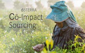 Co-Impact Sourcing